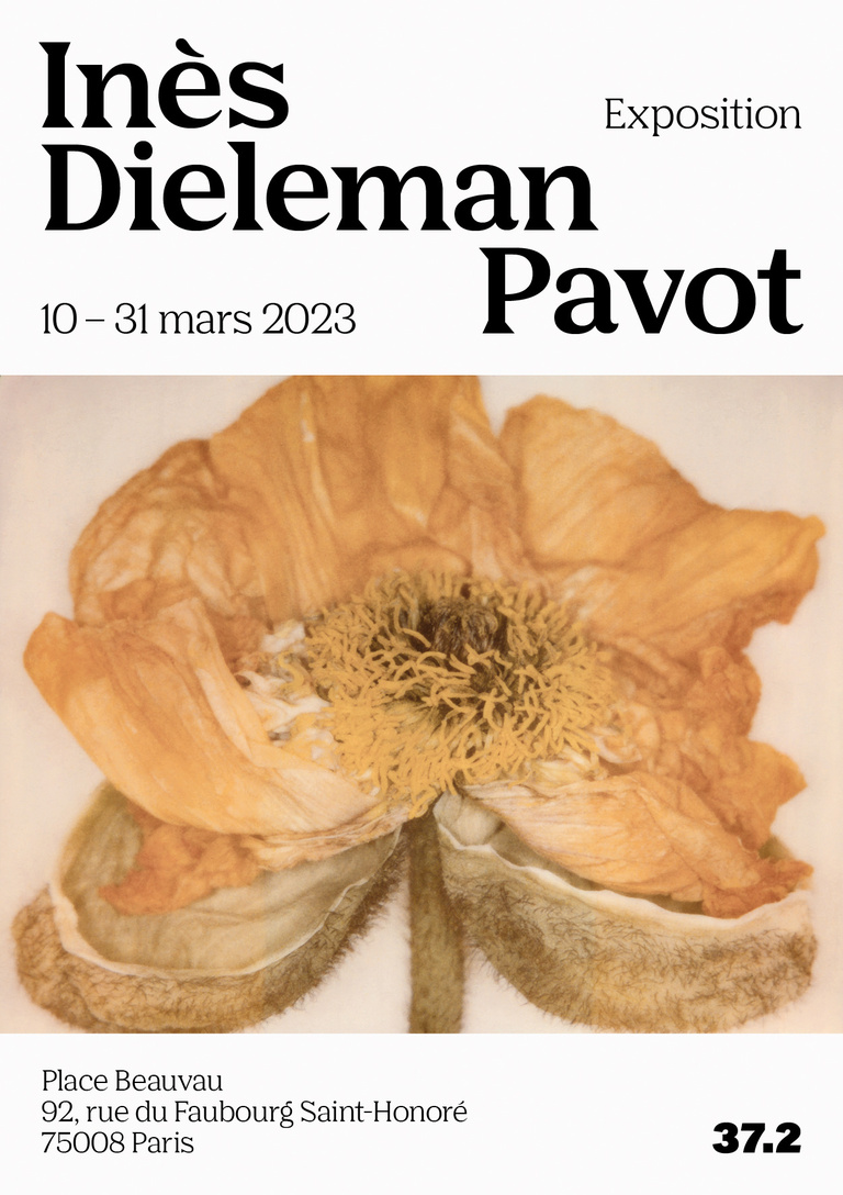 37.2 Paris - Pavot by Inès Dieleman