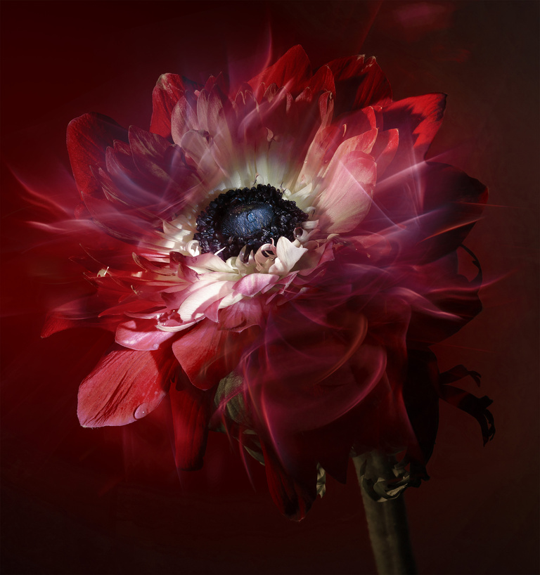 37.2 Paris - Inès Dieleman 