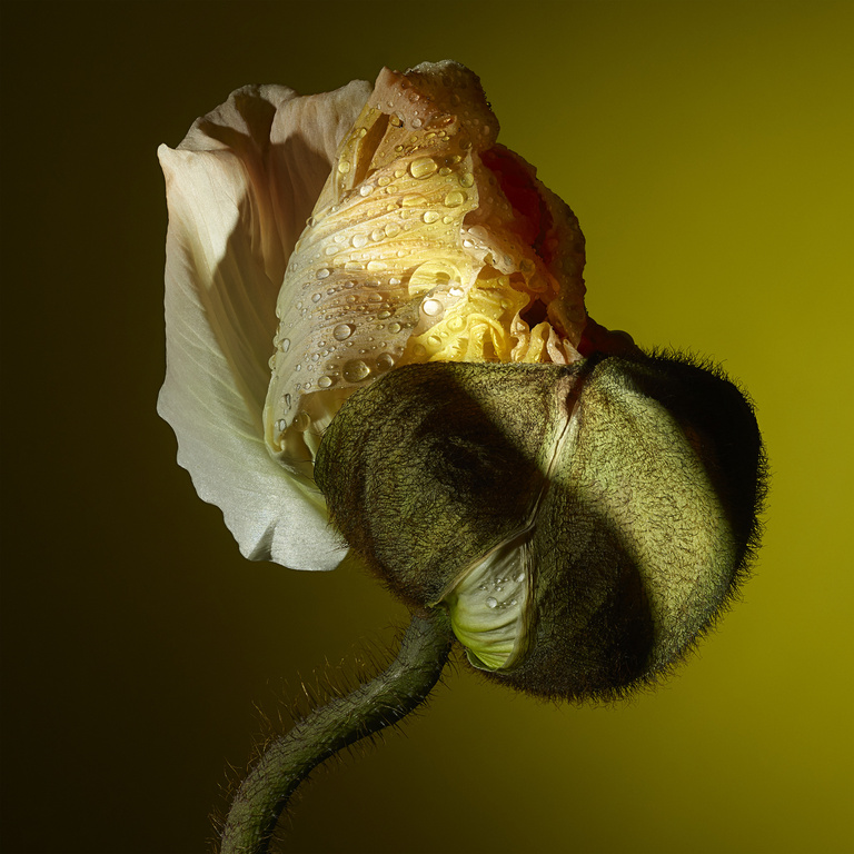 37.2 Paris - Garance du Nord 