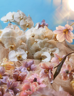 37.2 Paris - 04_Desert-0387-retouched.jpg