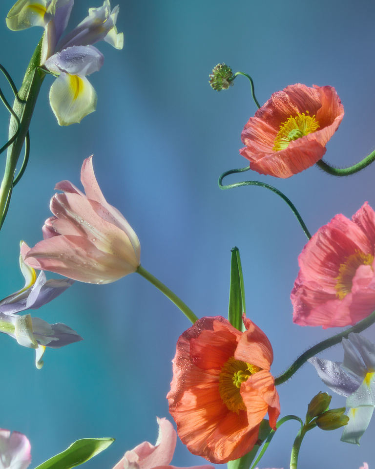 37.2 Paris - studio work 20247871.jpg