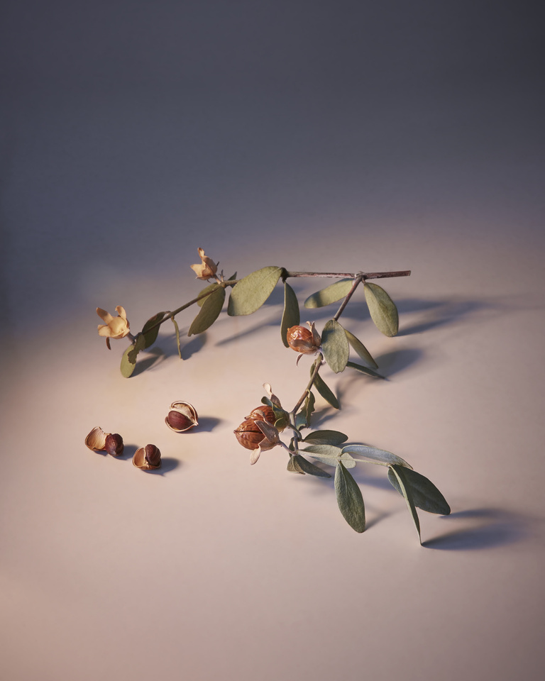 37.2 Paris - Copy of MuriLelu_Jojoba_Shot20_0285retouched-edit.jpg