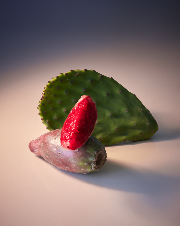 37.2 Paris - Copy of MuriLelu_PricklyPear_Shot13-1369retouched.jpg