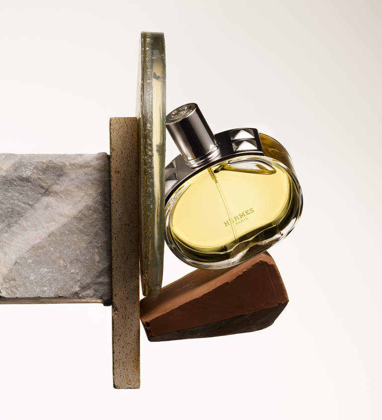 37.2 Paris - 050_HERMES_BARENIA_B_RVB.jpg