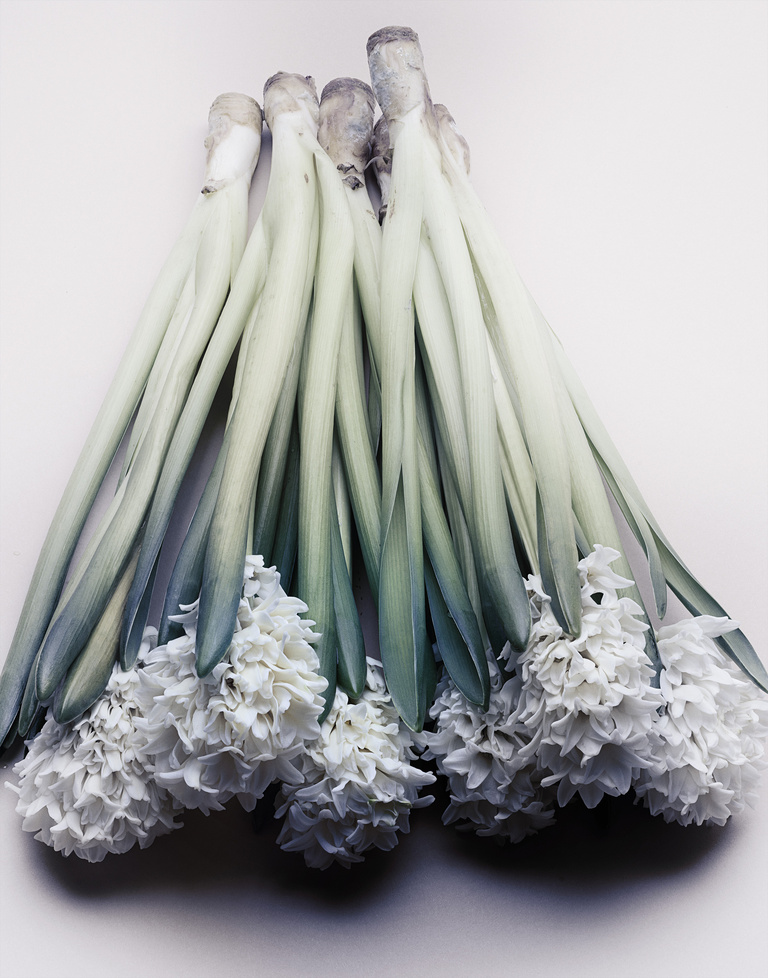 37.2 Paris - FLEURS_2.jpg