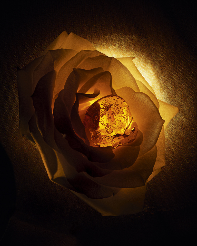 37.2 Paris - F126 LCP NEW ICONO 24 P15C Ingredient AMBRE NUIT_SW_F39.jpg