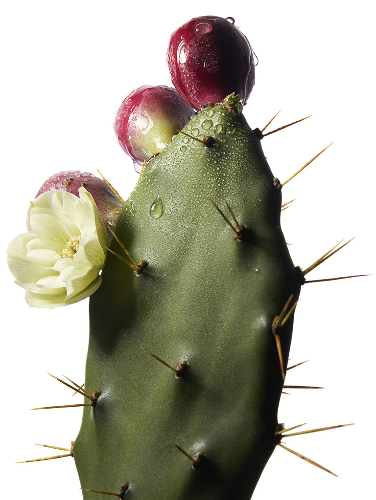 37.2 Paris - ysl 6-4-185407.jpg