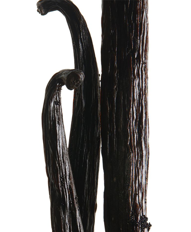 37.2 Paris - YSL_Vanille.jpg