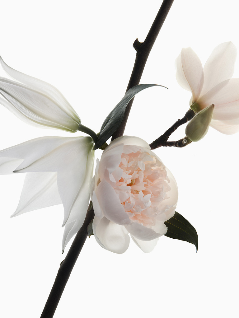 37.2 Paris - 110418_YSL Beaute Ingredients Parfum5825.jpg