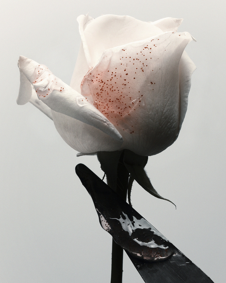 37.2 Paris - 03 RVB 98.jpg