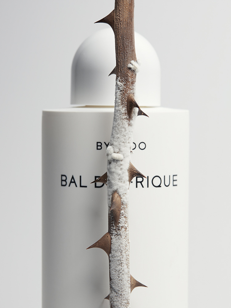 37.2 Paris - Epines Moisissure3728.jpg