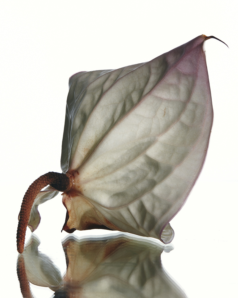 37.2 Paris - test MC PARFUMS10160.jpg