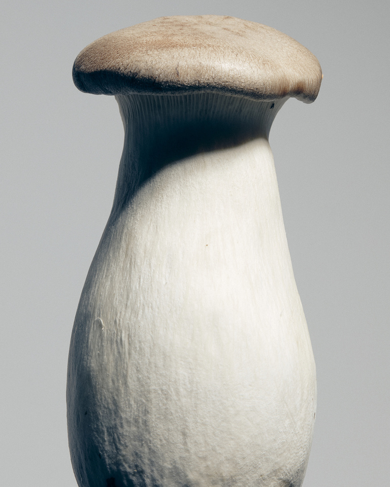 37.2 Paris - concombre_radisnoir4954.jpg