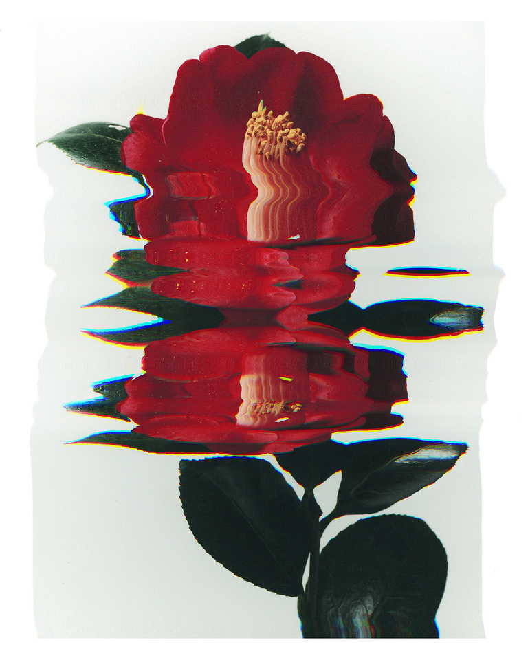 37.2 Paris - POLA 4X5 (9).jpg