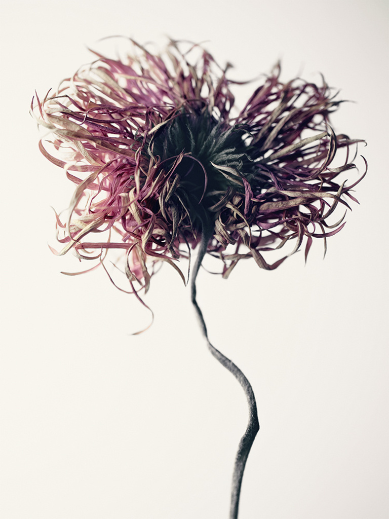 37.2 Paris - FS_005.jpg