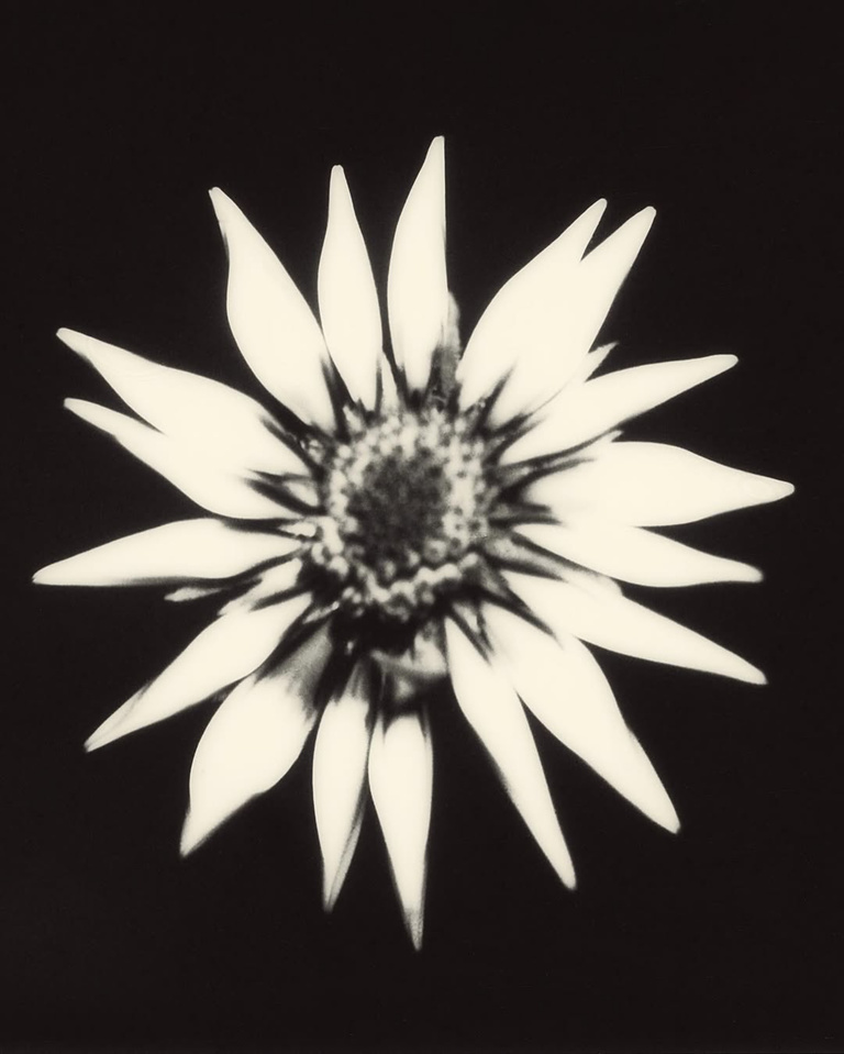 37.2 Paris - 5CC18CD4-308F-4A25-935F-224787F9122E.JPG