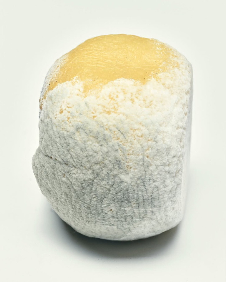 37.2 Paris - 055F0724-C8FB-4A40-898B-340A8FFE28B6.JPG