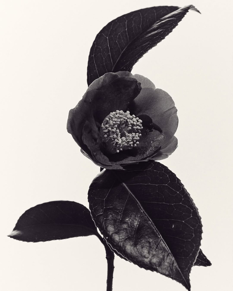 37.2 Paris - 60B8678B-9A20-4D51-8163-853F83214B4A.JPG