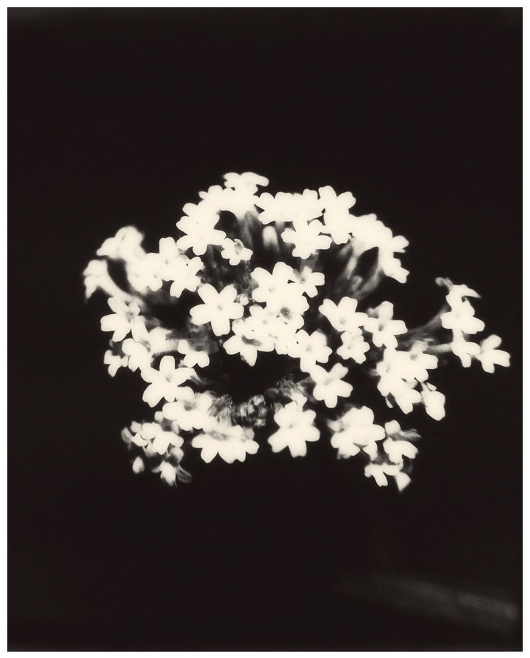 37.2 Paris - 91AB8B44-CC94-418F-8AA6-23B2648CE8FE.JPG