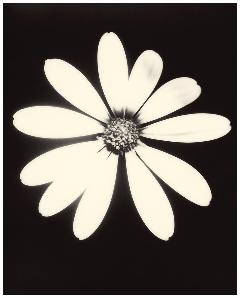 37.2 Paris - 5792A371-62B2-43CC-A33C-978DCFEE51CF.JPG