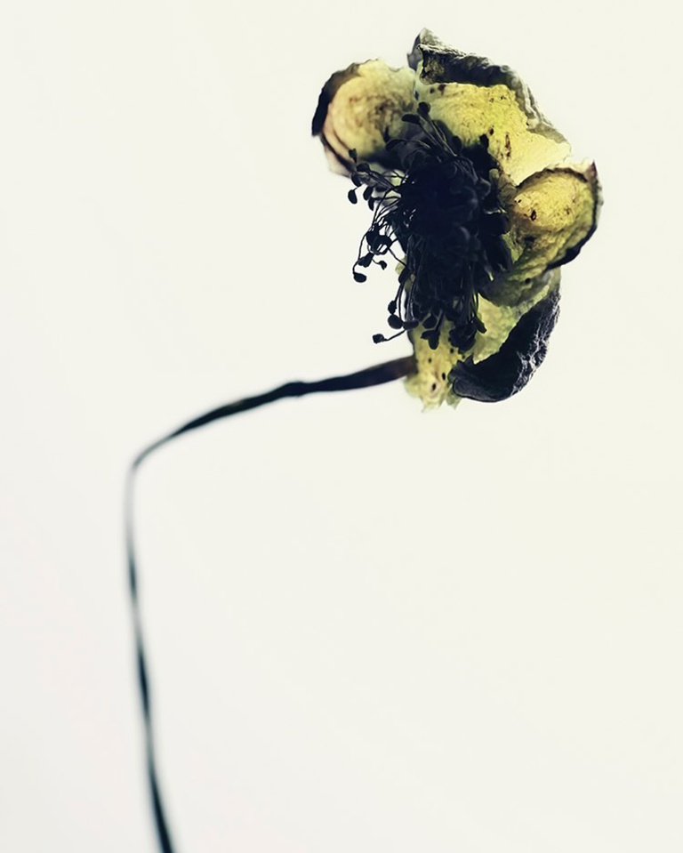 37.2 Paris - 7297E691-DAEC-452F-A8E8-506FFBD594B0.JPG