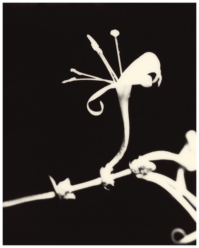 37.2 Paris - A0640F86-F2F8-4602-BD1D-F1CECA788811.JPG