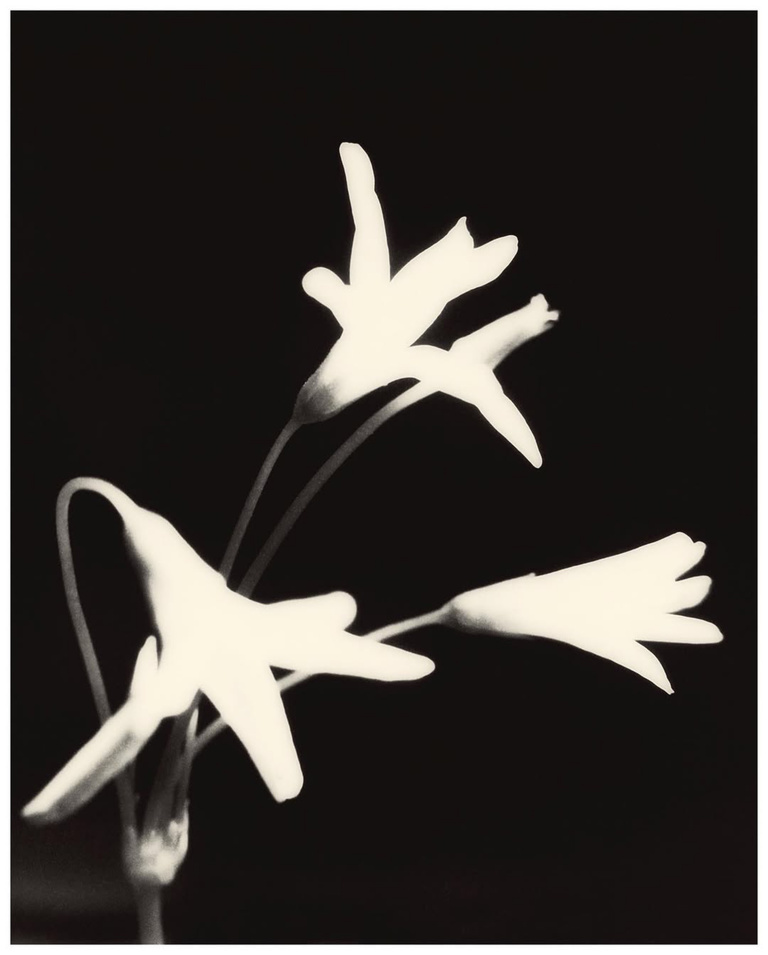 37.2 Paris - D42F5AAC-236C-4E80-9617-6C7DA0CE67B5.JPG