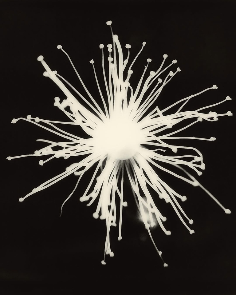 37.2 Paris - EE937680-A770-48F3-83B6-8C1631D070AC.JPG