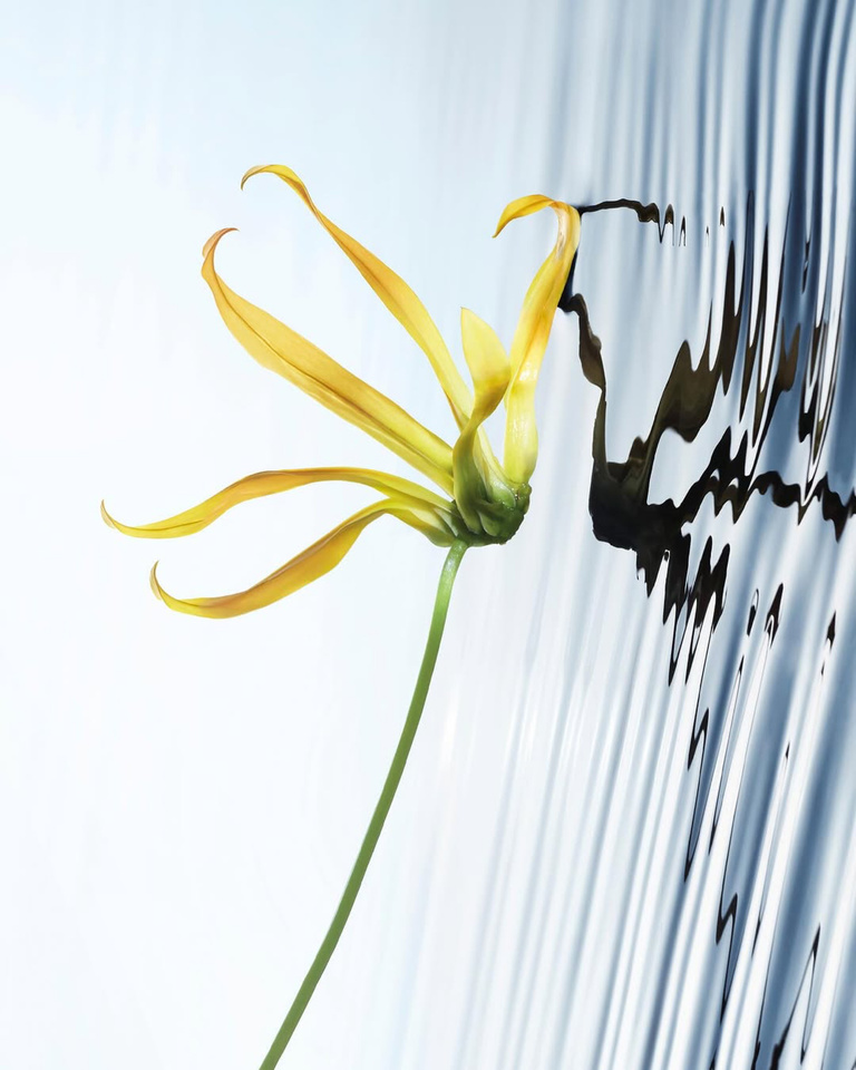 37.2 Paris - 4B43223F-995F-4BC5-8BE8-F3498A00A8C2.JPG