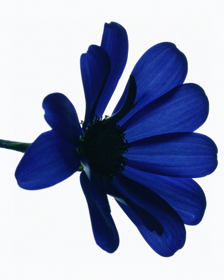 37.2 Paris - 9E403A0F-C999-4AA6-878C-D4C6D9F12F48.JPG