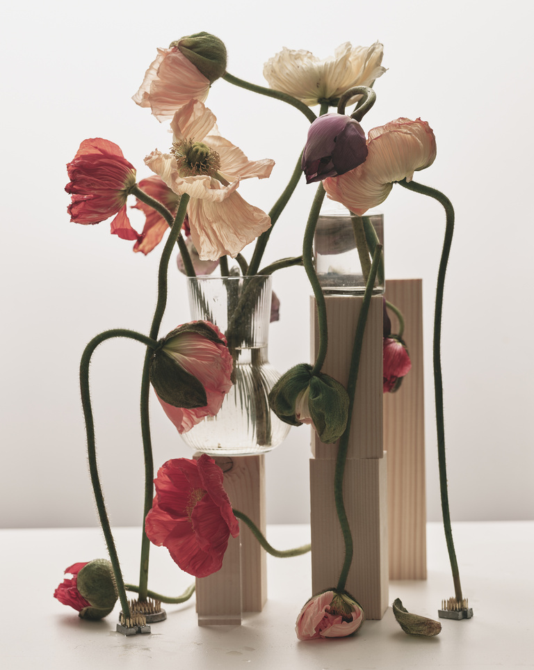 37.2 Paris - fleurs11670.jpg