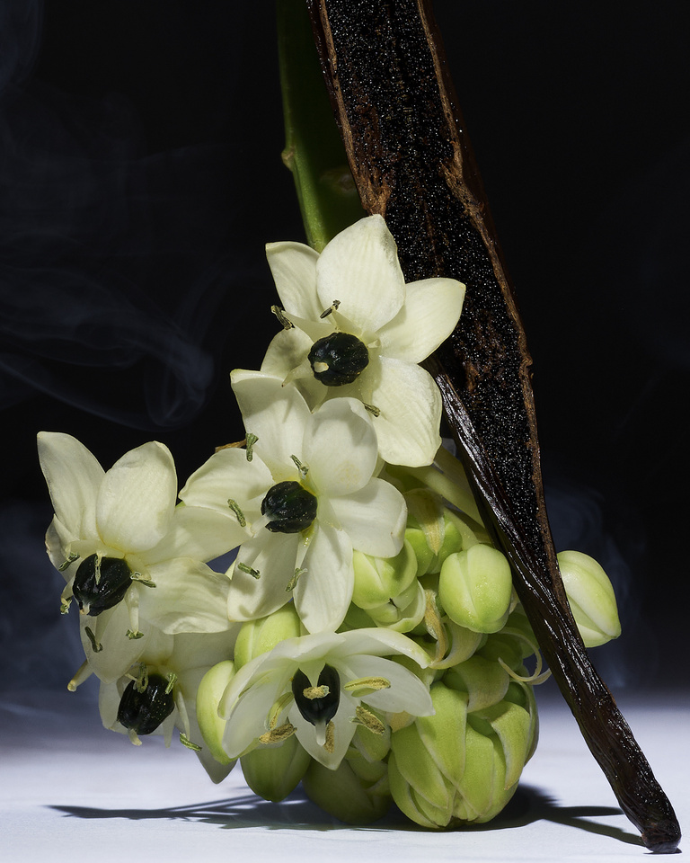 37.2 Paris - LOU37450 1.jpg