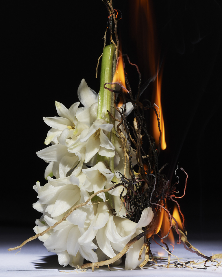 37.2 Paris - LOU37541.jpg