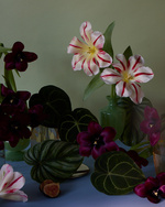 37.2 Paris - studio 20257778.jpg