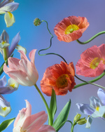 37.2 Paris - studio work 20247834.jpg