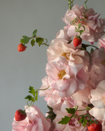 37.2 Paris - oishii7567 1.jpg