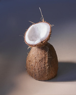 37.2 Paris - Copy of MuriLelu_Coconut_Shot18-0683-retouched-edit.jpg