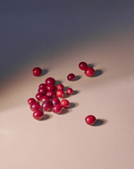 37.2 Paris - Copy of MuriLelu_Cranberries_Shot21-0759retouched.jpg