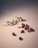 37.2 Paris - Copy of MuriLelu_Jojoba_Shot20_0310retouched.jpg