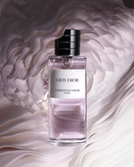 37.2 Paris - F126 LCP NEW ICONO 24 P04F GRIS DIOR V1_NEW_SW_F39.jpg