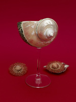 37.2 Paris - 2025-01-23 17-47-48 (B,R8,S4).jpg