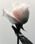 37.2 Paris - 03 RVB 98.jpg