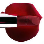 37.2 Paris - DIOR_EMERAUDE2615_Base_V2_DEFCADRE.jpg