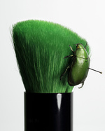 37.2 Paris - green_beetle_RVB.jpg