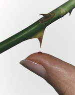 37.2 Paris - Wallpaper_5_10_23_30554_.jpg