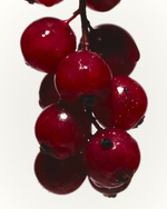 37.2 Paris - Recherche_23324.jpg