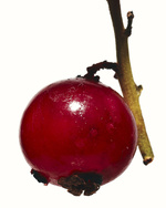 37.2 Paris - Recherche_23333.jpg