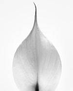 37.2 Paris - CD_02.jpg