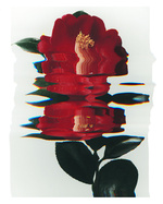 37.2 Paris - POLA 4X5 (9).jpg