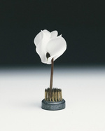 37.2 Paris - 0FACA9D0-CAA4-4FA4-ABDB-C6C0A8F30C24.JPG